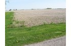 Property photo 23 - 172 Acres Offered in 3 Tracts - Prime Farmland